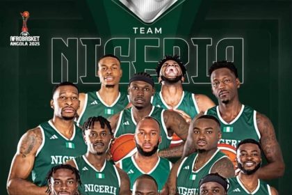 Nigeria's D'Tigers