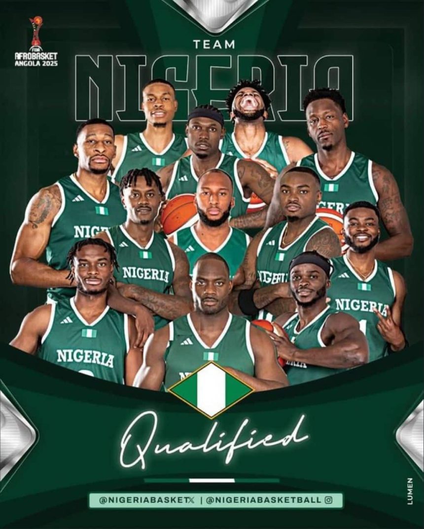Nigeria's D'Tigers