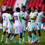 Soccer players in white and green kits celebrate on the field shaking hands and smiling during a match stoppage  trybalnews