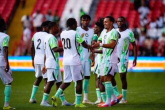 Soccer players in white and green kits celebrate on the field, shaking hands and smiling during a match stoppage.