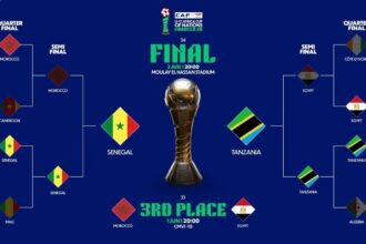 Bracket for the Africa Cup of Nations final and third-place match, showing teams advancing on left and right toward the central trophy.