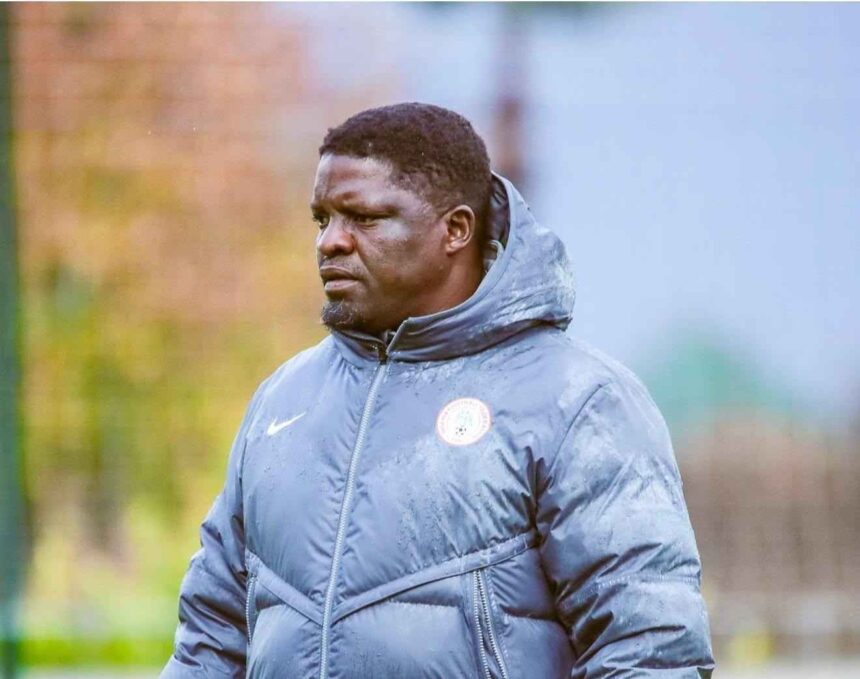 Daniel Ogunmodede assistant coach of the Super Eagles of Nigeria stands on a football training pitch wearing a grey Nike puffer jacket with the Nigeria Football Federation crest and black gloves He has a focused expression and is looking to his left The background is blurred with a training field and trees He has been linked with the Kano Pillars coaching job  trybalnews