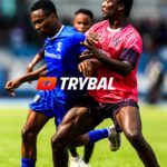 trybalnews