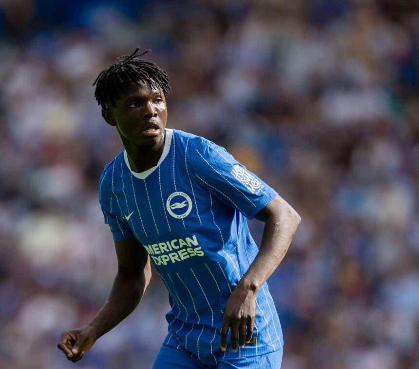 Medium shot of young football player Zadok Yohanna on the field during a match He is wearing the Brighton  Hove Albion home kit which features a blue jersey with thin white vertical stripes the club crest and the American Express sponsor logo His hair is styled in short twists and he is looking intently off camera to his left with a focused expression The stadium crowd behind him is heavily blurred  trybalnews